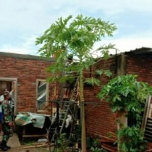 Kondisi salah satu rumah warga akibat puting beliung