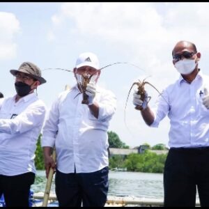 Bupati Lombok Timur HM Sukiman Azmy saat mendampingi Dirjen PB KKP TB. Haeru Rahayu yang me-launching kampung budidaya lobster