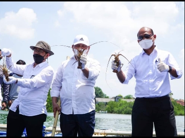 Bupati Lombok Timur HM Sukiman Azmy saat mendampingi Dirjen PB KKP TB. Haeru Rahayu yang me-launching kampung budidaya lobster