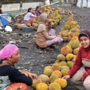 Durian, salah satu komoditas andalan di Lombok Tengah