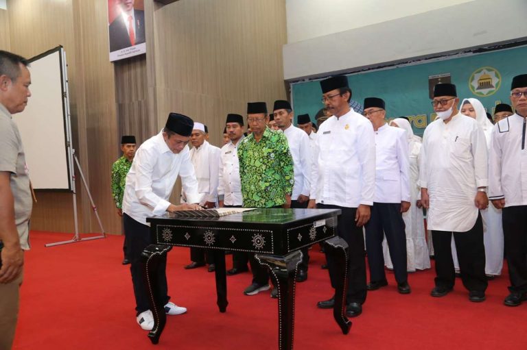 DMI loteng